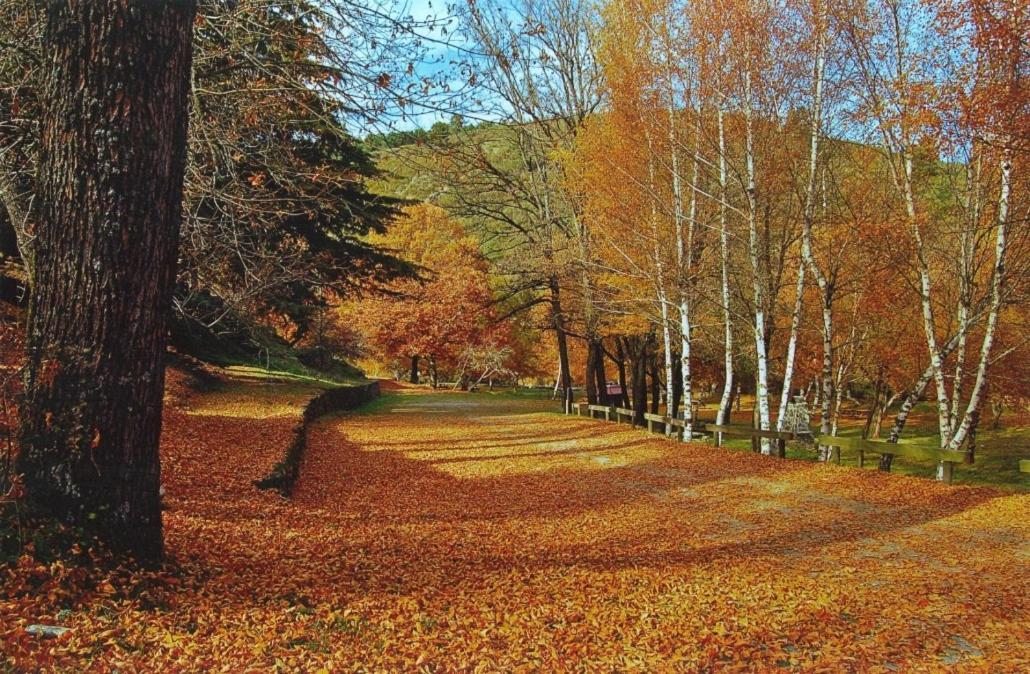 Mountain Lodge T3 Duplex Abrigo Do Lobo Covilha Bagian luar foto